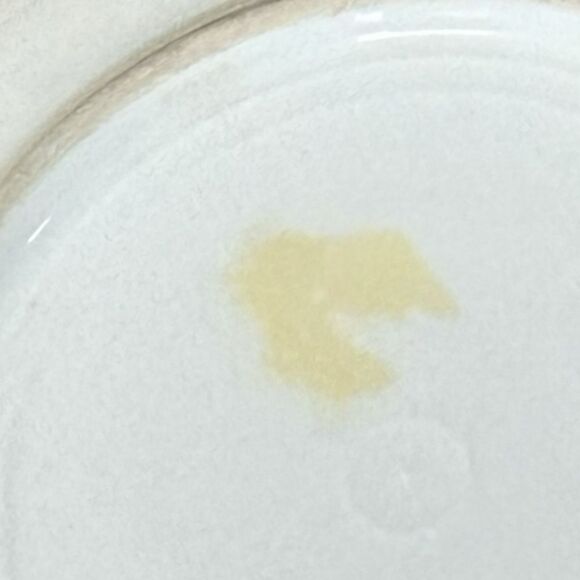 Vintage Limoges France Plate | Hand-Painted
Floral | Collectible - Picture 5 of 7